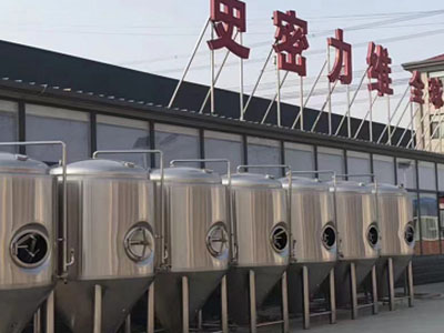 驿城精酿啤酒设备厂—市场规模与跨界新需求